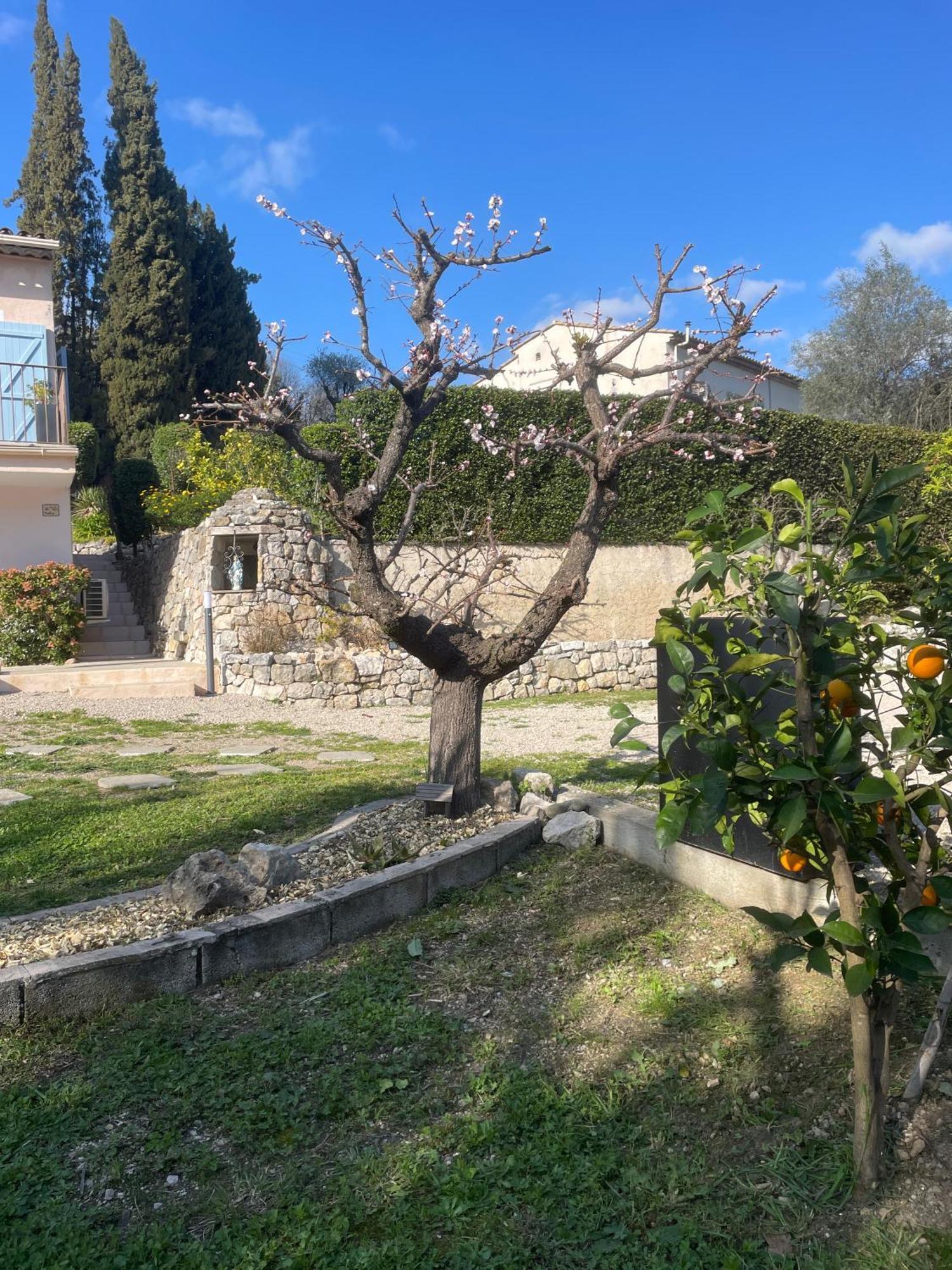 Luva D'Azur, Rez De Villa Le Riou - Le Vallon Le Bar-sur-Loup エクステリア 写真